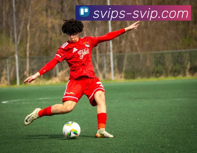 公海官网服务体系